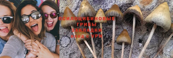 трава Алексин